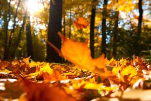 Naar het theater in de herfstvakantie 2016